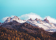 开云官网：开启智慧生活的入口与体验之旅